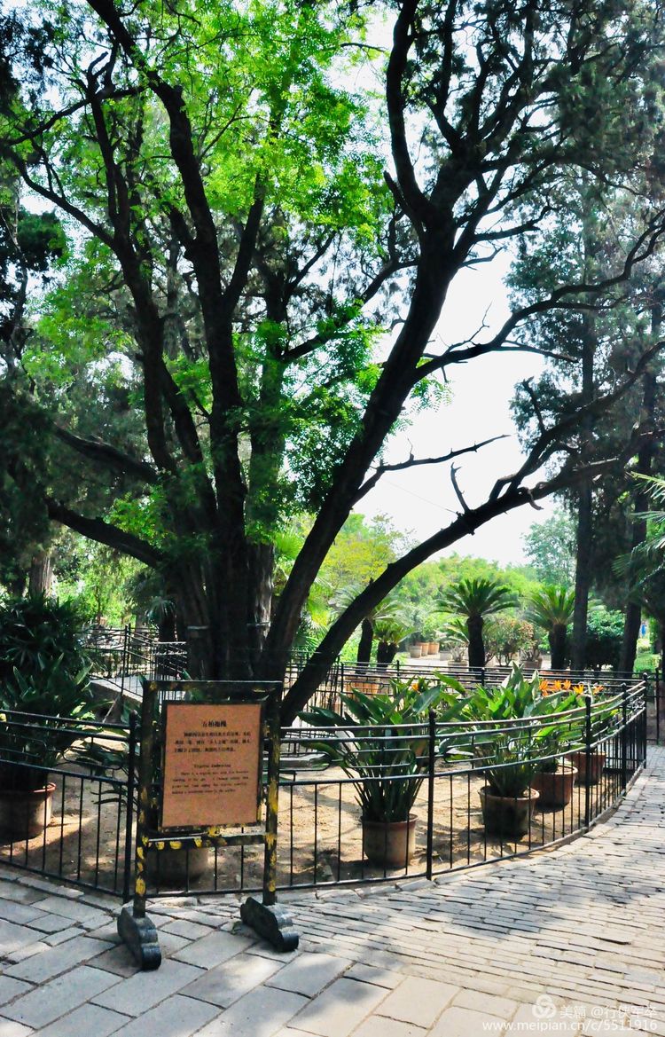 曲阜孔庙走马观花,曲阜孔庙朝圣