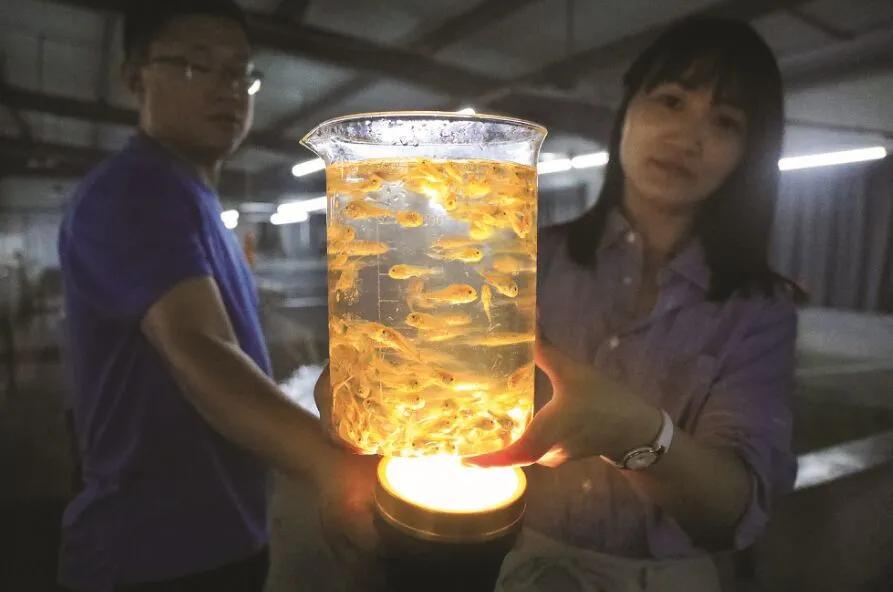 舟山：红色火种燎原千岛大地幸福之城温暖无数人心