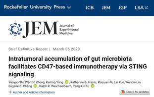免疫治疗联合疗法,是敌是友重要吗