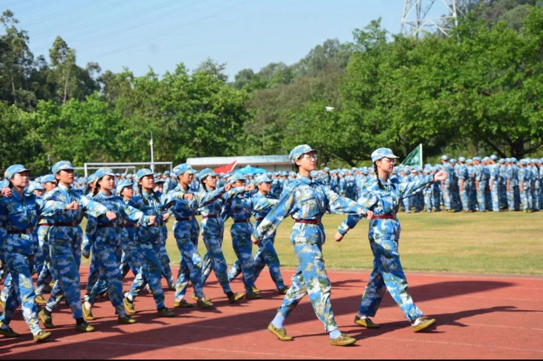 广东高职高考看院校,广州番禺高职高考有什么专业