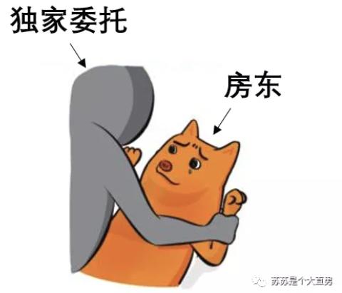 房东和中介签合同注意事项,房东签房屋中介合同注意什么