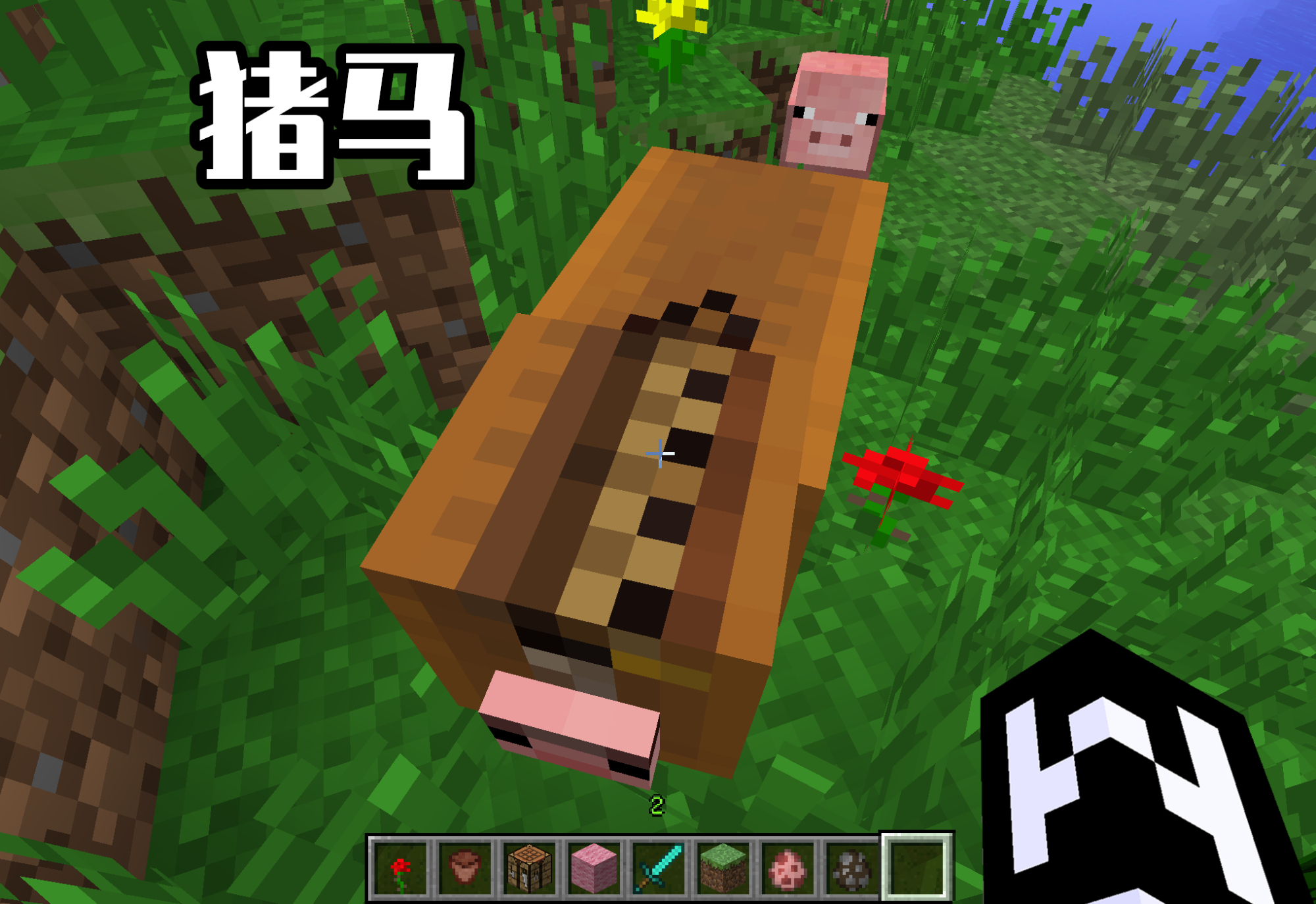 我的世界会飞,我的世界九大隐藏怪物死亡蠕虫