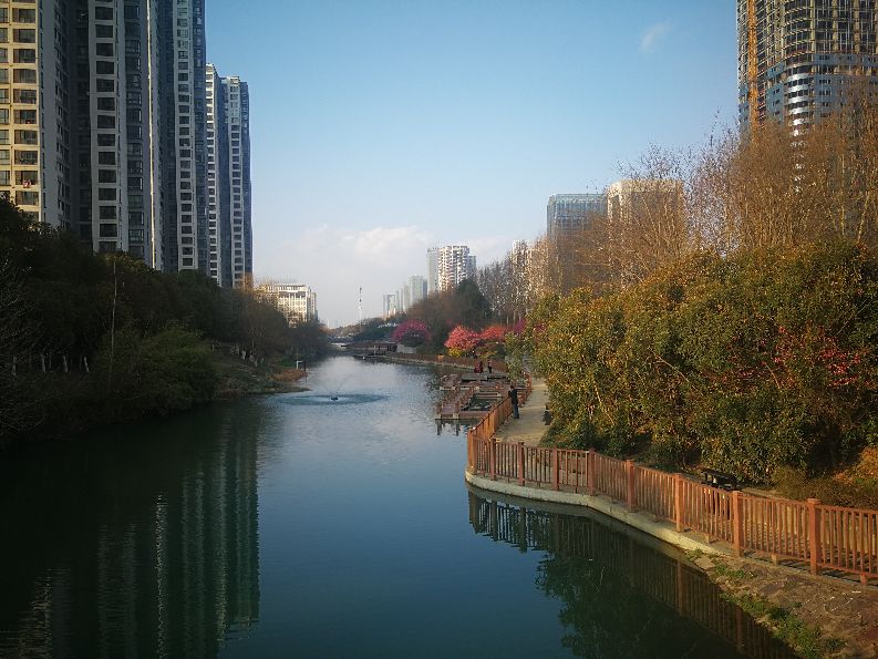 漫步河畔公园全景图,漫步公园美景