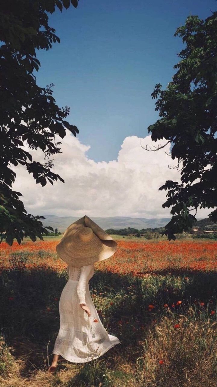 你最舍不得换的壁纸,朋友圈背景图插画