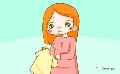 孕期周刊是什么软件,孕期知识百科十五周