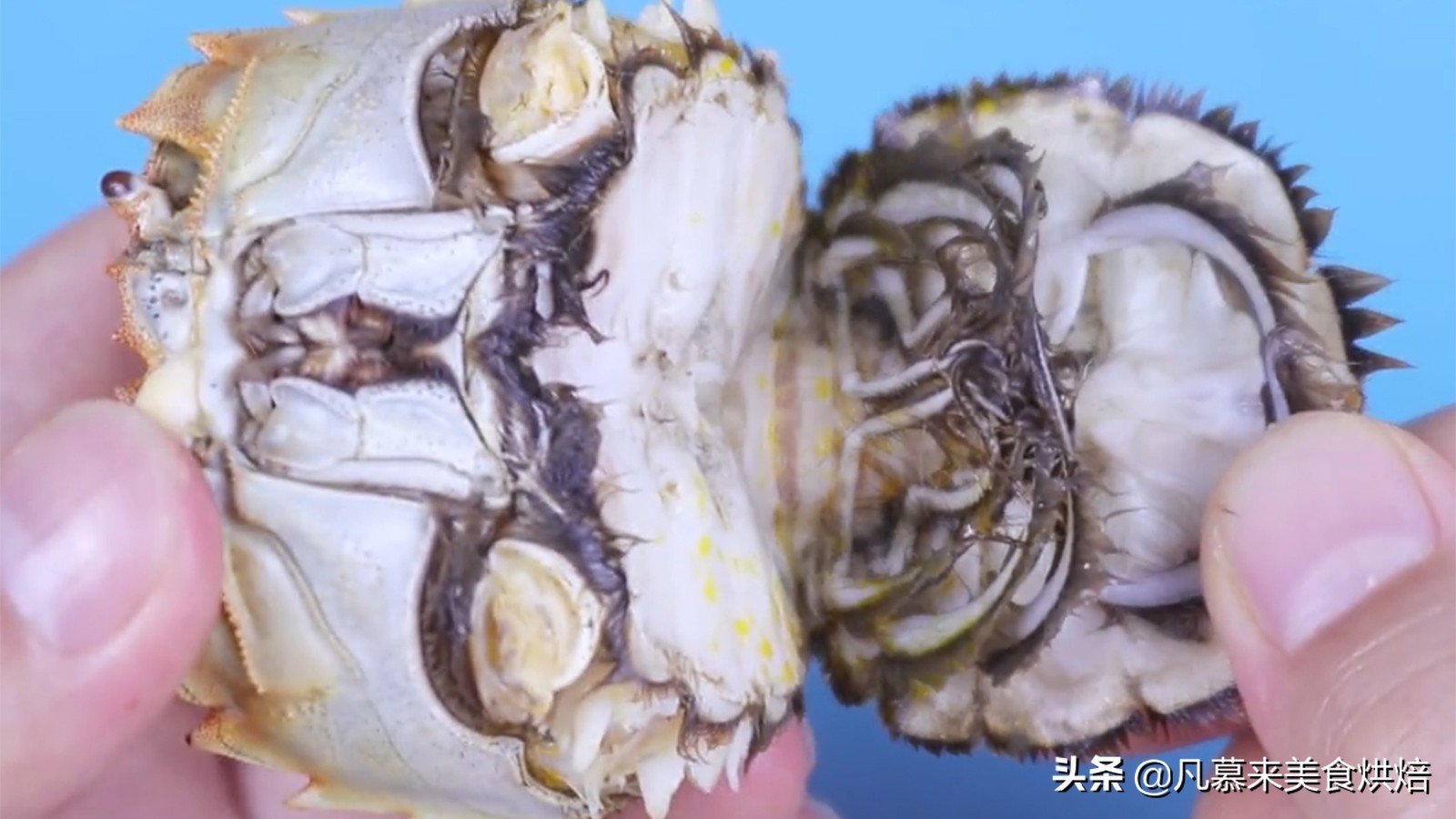 螃蟹正确吃法教学视频,误吃了螃蟹不该吃的部位怎么办