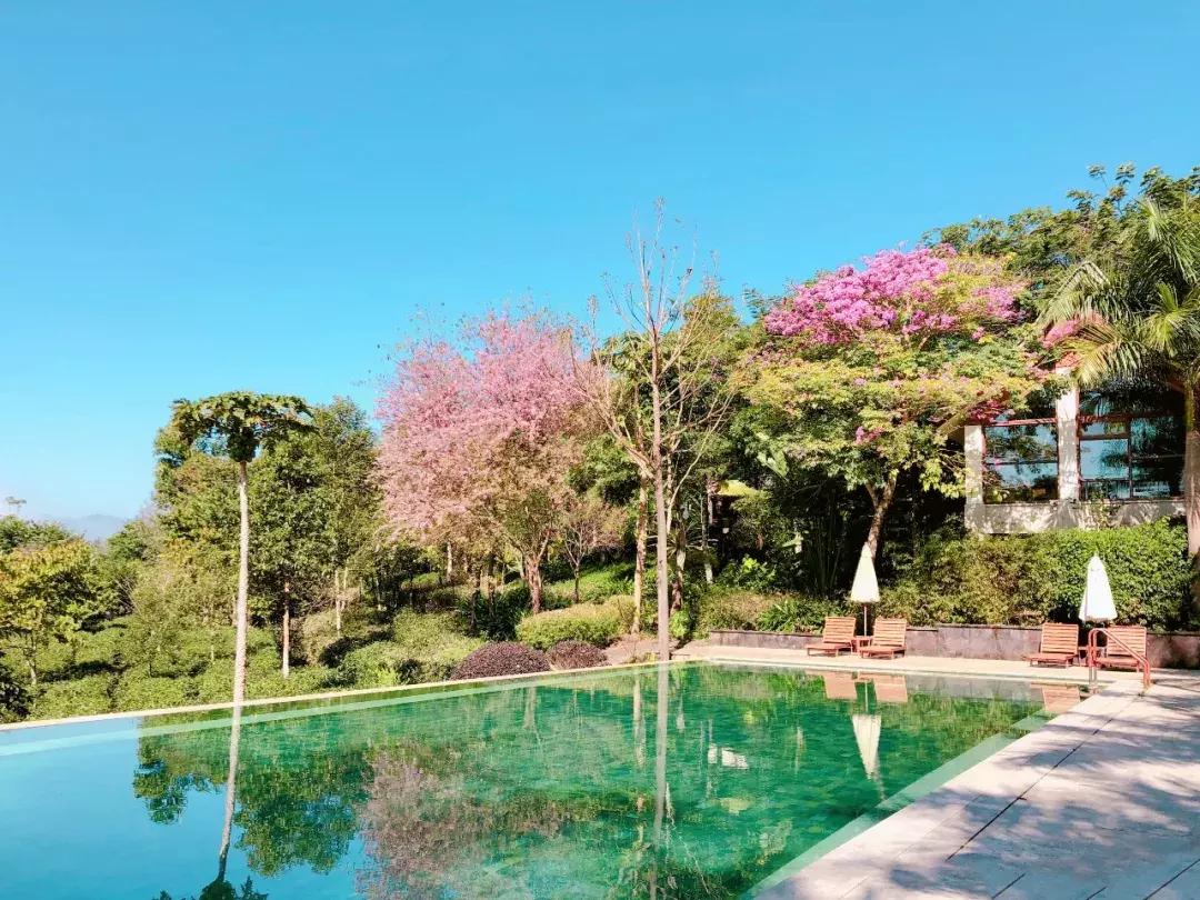 ifer来信|“男朋友”后宫无数,我却一点不吃醋