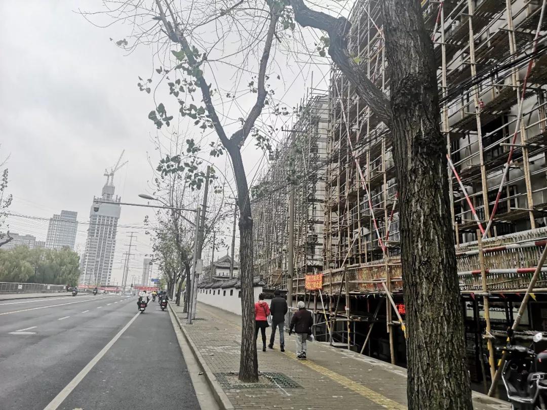 上海真如来历,上海真如发展前景