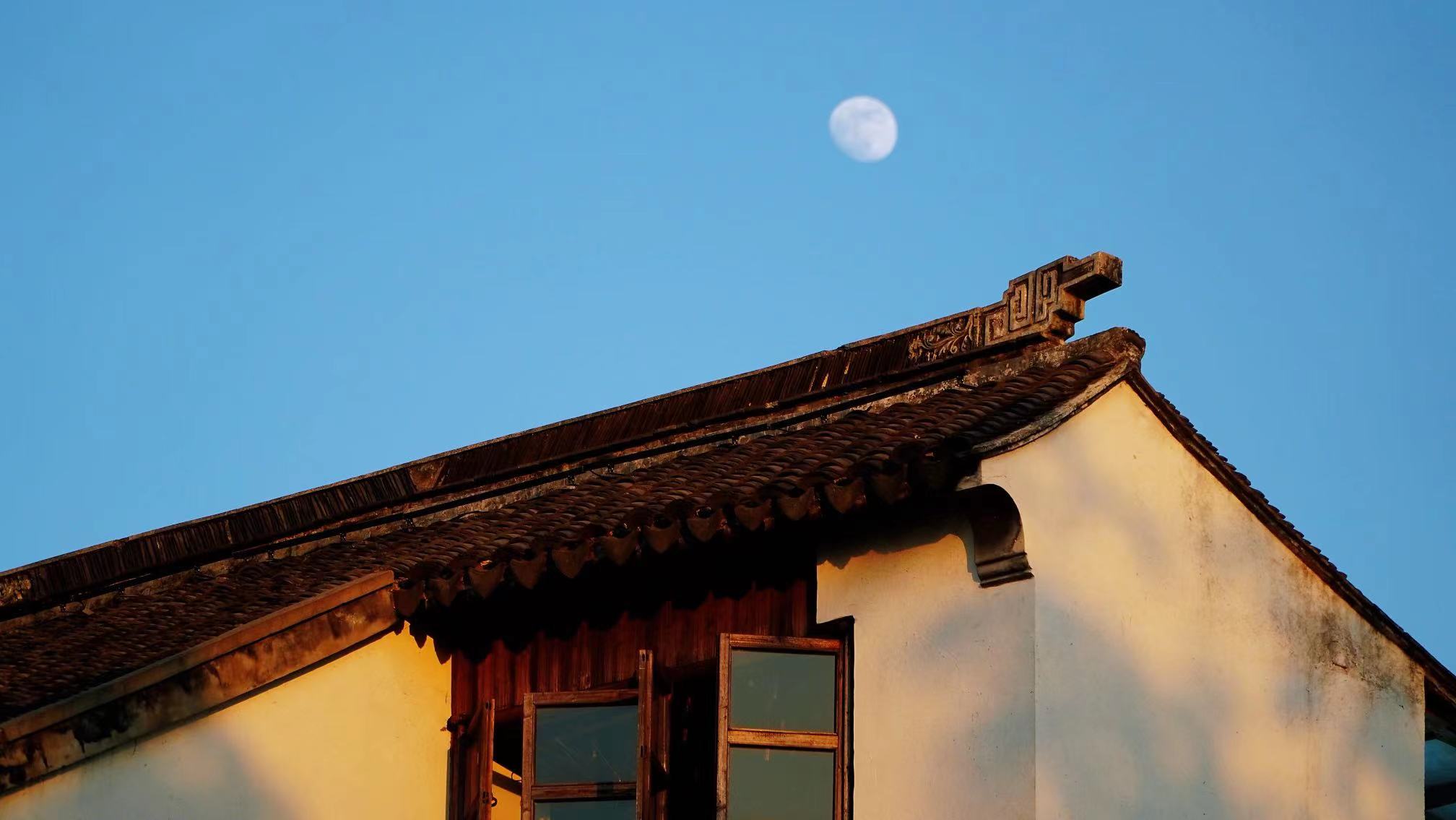 江苏苏州有个原生态古镇，人少景美不收门票，成了上海人的后花园