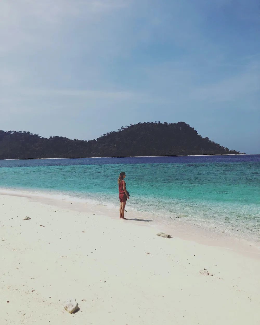 恋恋丽贝岛,人狗情未了|KohLipe