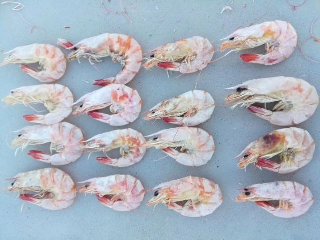 如何挑选优质虾仁,如何挑选干虾仁的方法