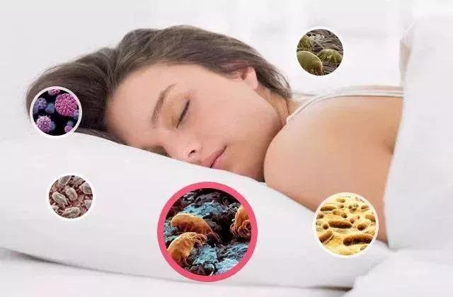 头发没干不要别睡，教你一个妙招，3分钟轻松搞定湿发