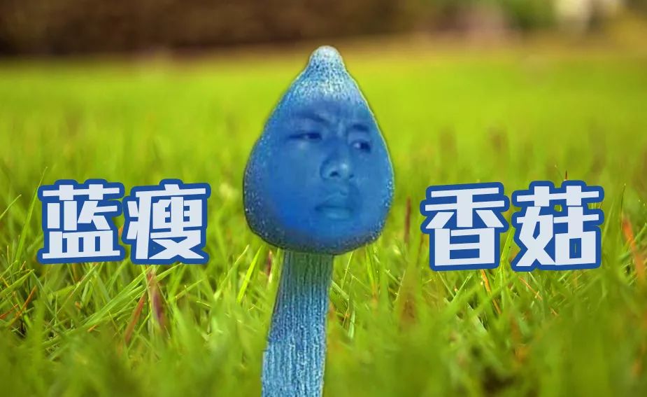 那些小时候起过的奇葩网名,还记得你曾经用过的网名吗