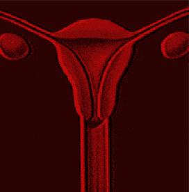 来姨妈痛得蜷成虾，老公居然还说是装的！这种病，要早看