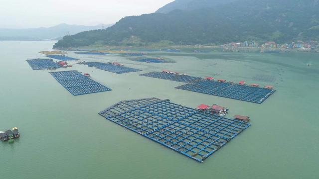 绘画心理疗法培训,积极心理学绘画疗愈