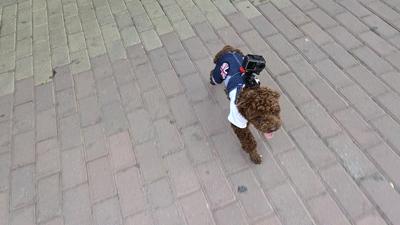 osmoaction评测,osmoaction大疆视频画质