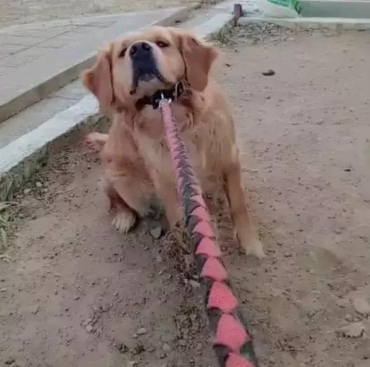 平时瓶盖都拧不开的小女生,平时拧不开瓶盖的女孩原视频