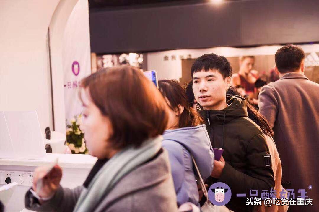 一只酸奶牛门店开业盛况,一只酸奶牛多久回本
