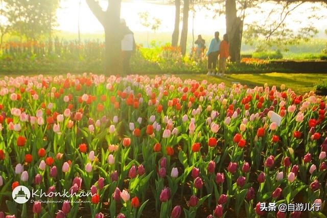 泰国#孔敬府#超级旅行宝典