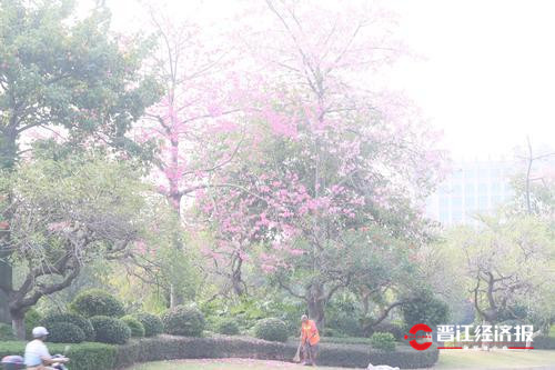 入选交通部“最具人气的路”提名!一起为晋江世纪大道和东石园东路助力