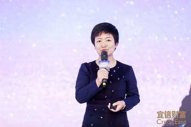 宜信美元母基金,母基金投资现状