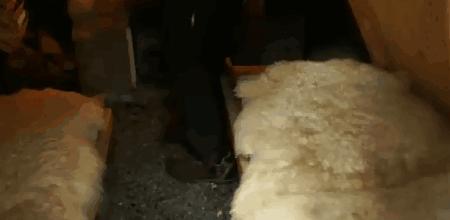 鎶婇厭搴楀仛鎴愰厭搴楄鏈夌殑鏍峰瓙,鎶婇厭搴楁敼閫犳垚鏈棩鍫″瀿