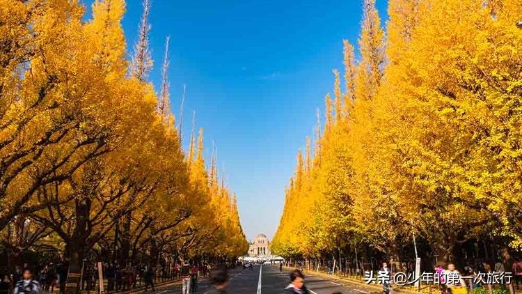 东京住宿东京旅游攻略,东京旅游攻略4天详细地址
