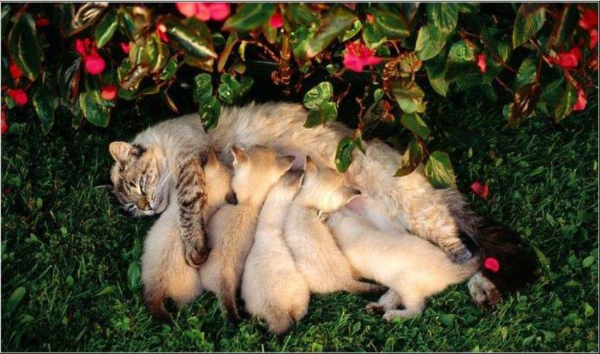 生了智障儿童怎么办,生了自闭症孩子父母好绝望