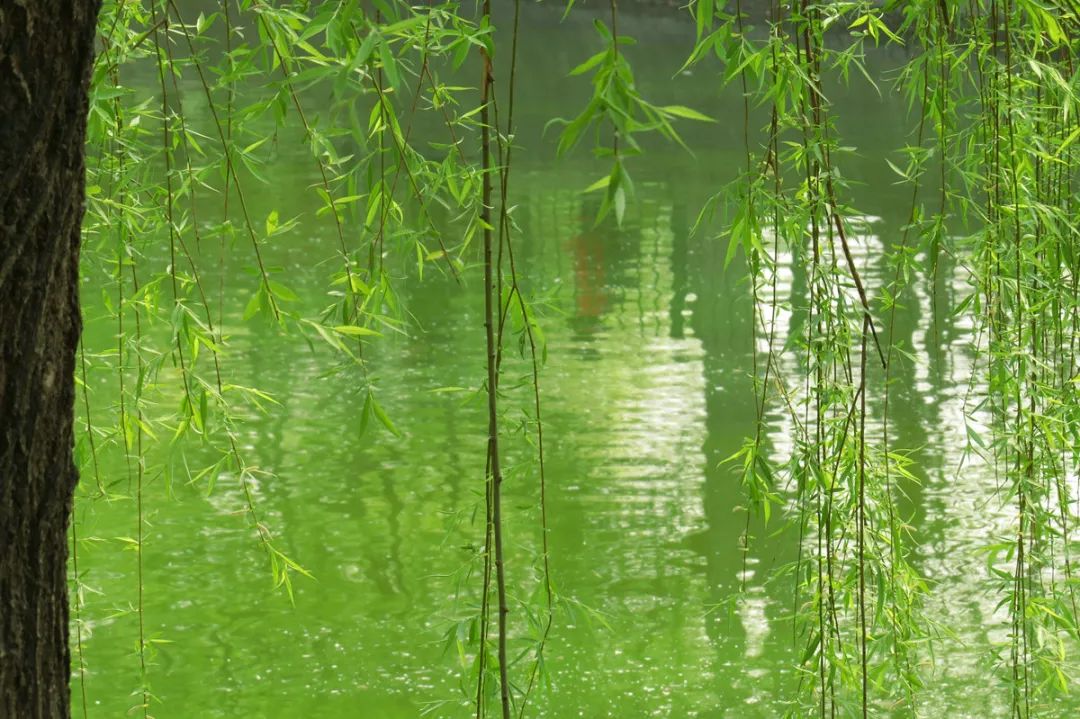 北京戒台寺郊野公园,北京燕山东岭郊野公园