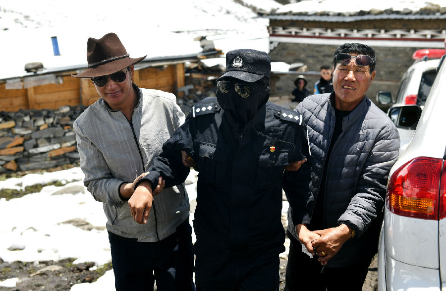 鐢樺瓬钘忓尯铏崏,鐢樺瓬搴峰畾铏崏鍗＋