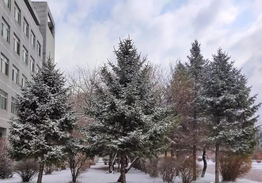 辽宁沈阳的医学大学,了解一下沈阳医学院