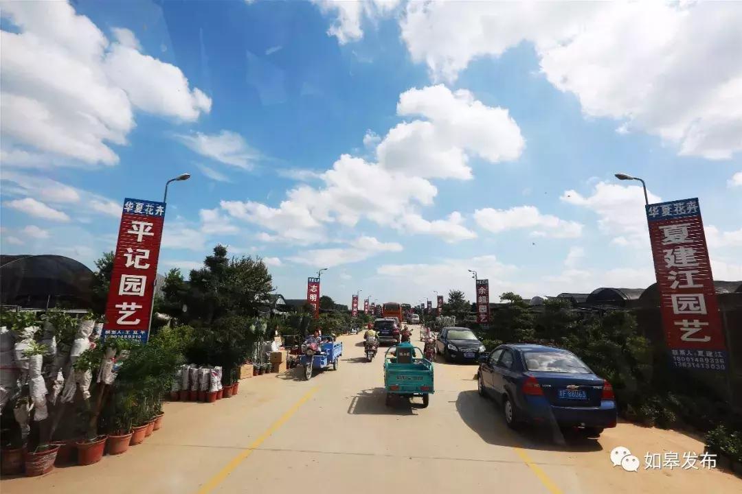 互联网花木,互联网电商大数据时代趋势