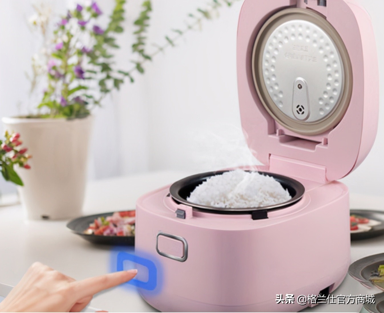 ih电饭煲到底好不好,小米ih电饭煲399和999有什么区别