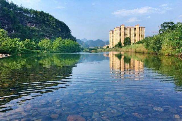 每天百斤鱼获的秘密，牵扯出锚鱼者极力隐藏的“血腥杀戮”