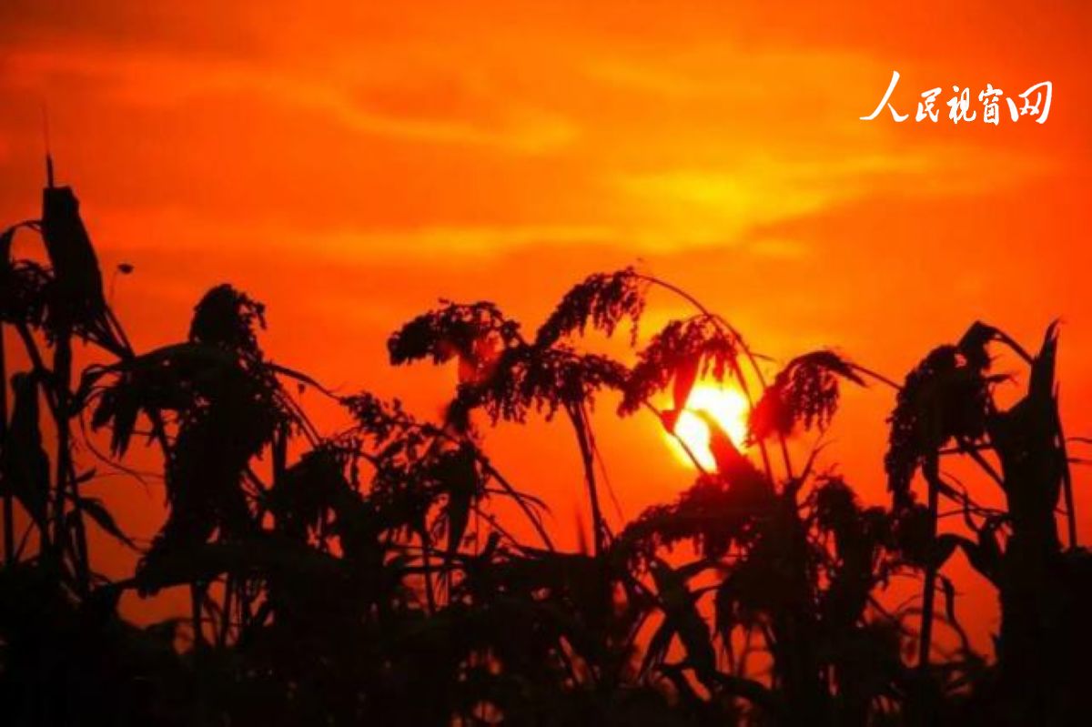 安康市恒口示范区百日大会战,安康市恒口示范区成立始末