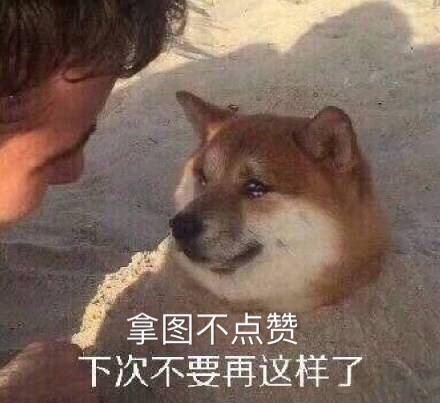 表情包龇牙捂脸一连串,表情包42张图片