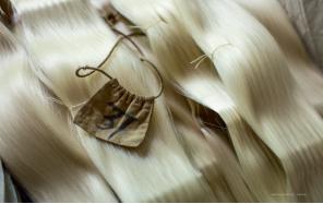 从“东桑西移”到“丝绸复兴”,震泽如何传续千年的这根丝