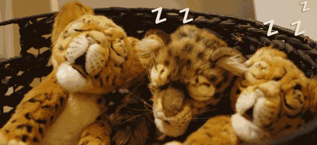 20万平米以上购物中心,郑州人气最旺的购物中心