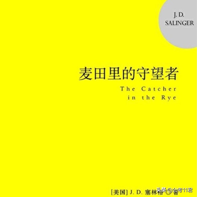 麦田里的守望者适合初中生看吗,推荐麦田里的守望者这本书
