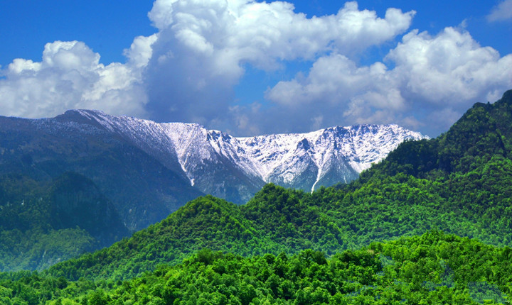 全国十大森林公园,中国十大森林公园