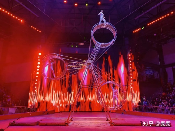 野生动物园长隆游玩攻略,野生动物园长隆攻略图片