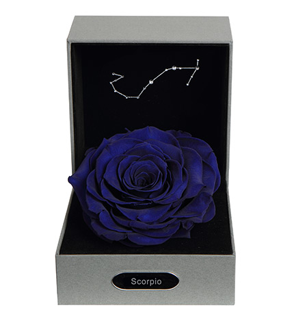 12星座女最喜欢什么花,追12星座女生送什么花