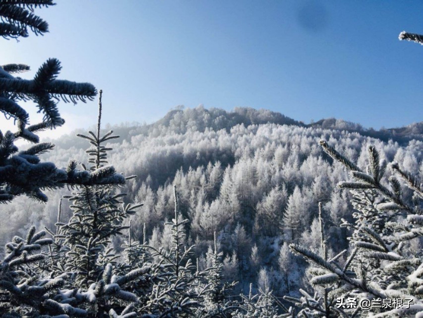 兰州市七里河区金色阳光幼儿园,金色阳光幼儿园大二班老师