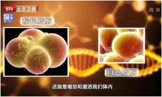 人到中年后容易大肚子怎么回事,36岁开始胖大肚腩怎么办