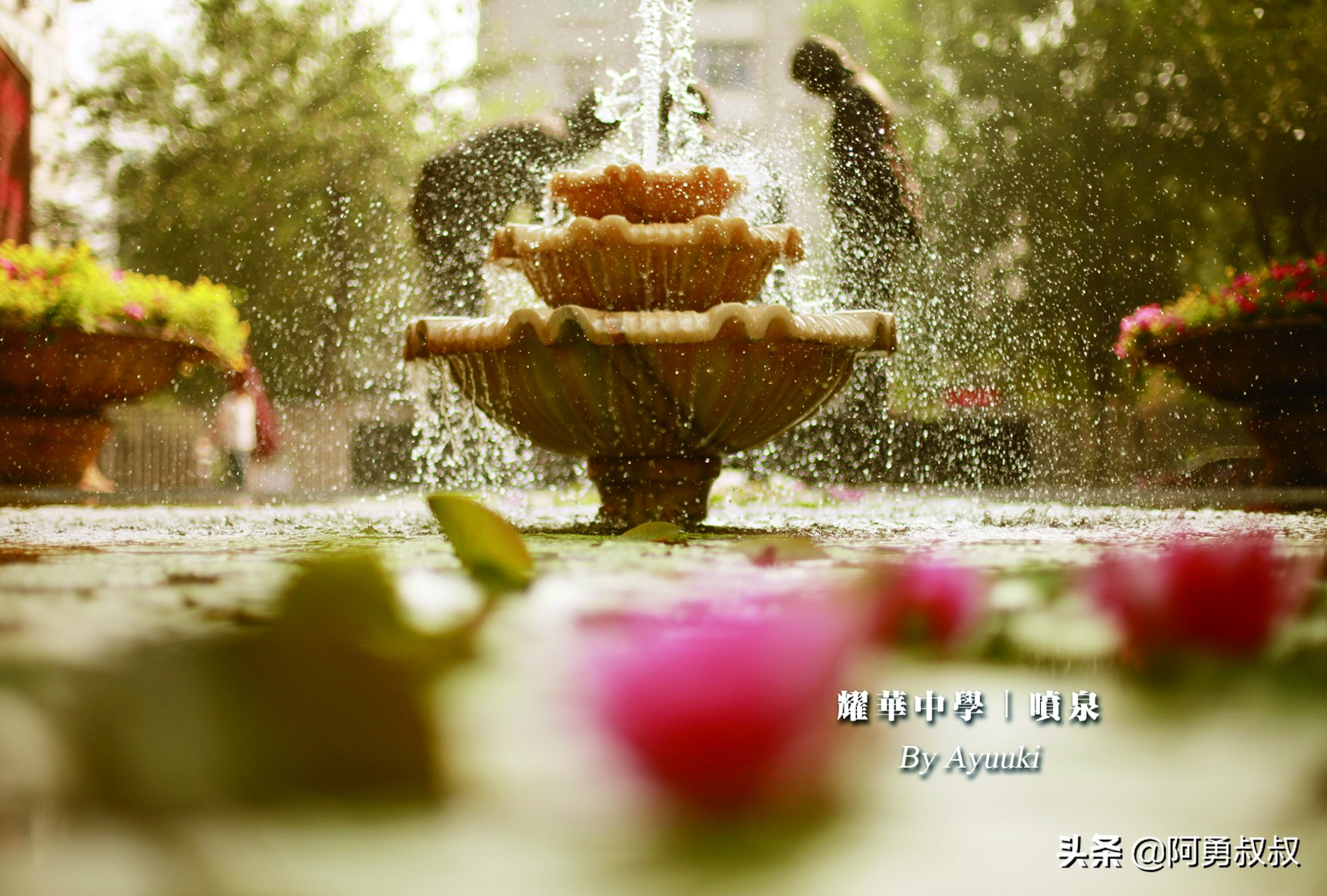 天津市耀华中学怎样,天津市和平区耀华中学