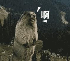 西安清明下雨历史,西安清明下雨