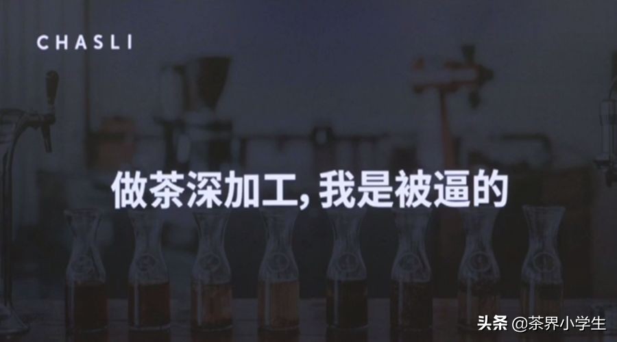 3位新锐茶创业者：煮叶刘芳，茶仕利夏琛，茶素材庄景杨