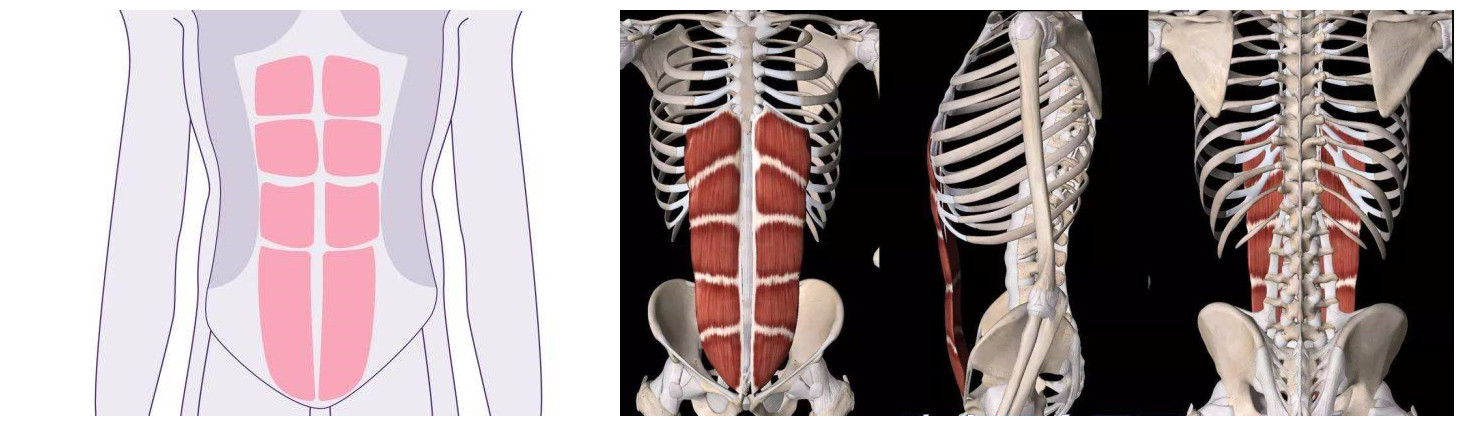 产后腰椎间盘突出正确锻炼方法,产后没有恢复好腰疼
