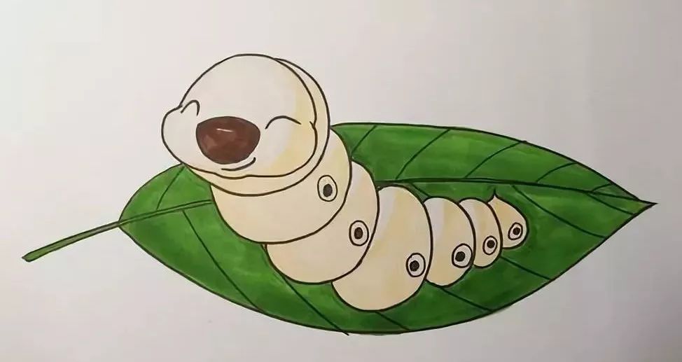 蚕宝宝饿了吃什么,蚕宝宝渴了怎么办