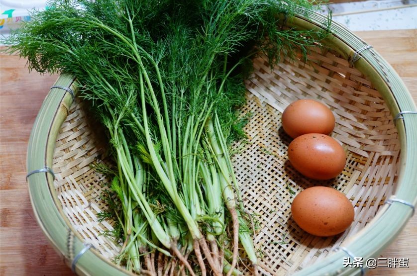 鸡蛋和小茴香一起好吃吗,鸡蛋炒茴香能治肚胀吗